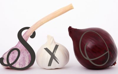 Définition du SXO | Une Optimisation aux P’tits Oignons