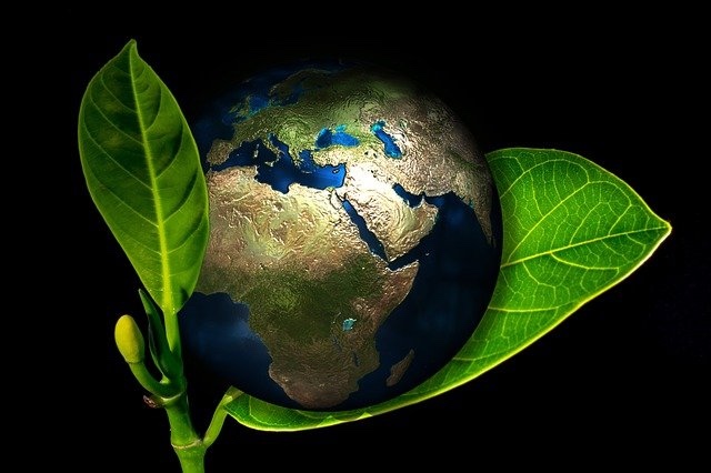 Le Rédacteur Web environnement,  au service de la planète et de vos outils de communication