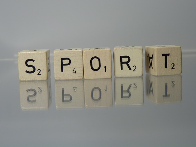 Rédacteur sport sur le Web : contenu optimisé et expertise sportive